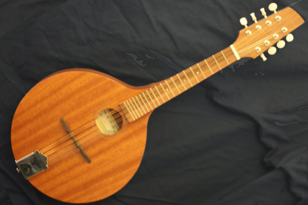 Mandolin - Folk Style